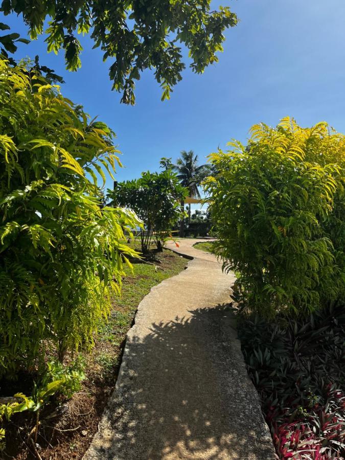 Ostello Camp Taveuni Matei Esterno foto